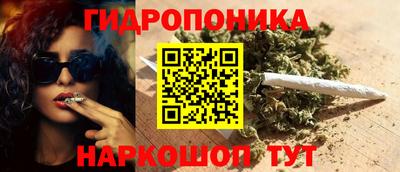 крисы Канаш