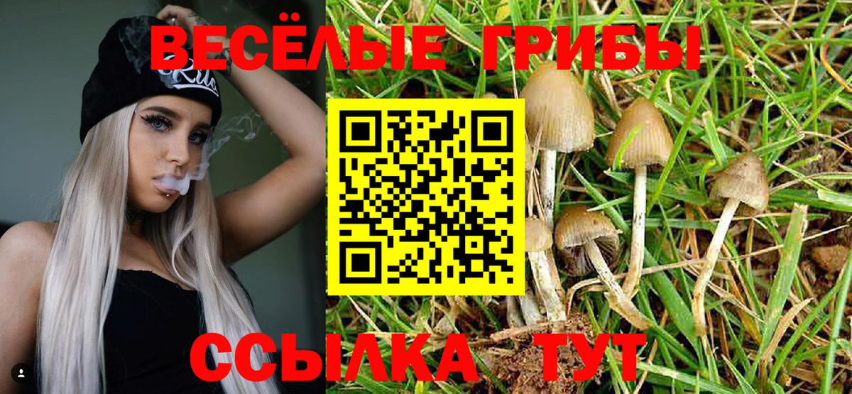 Галлюциногенные грибы Magic Shrooms Донской