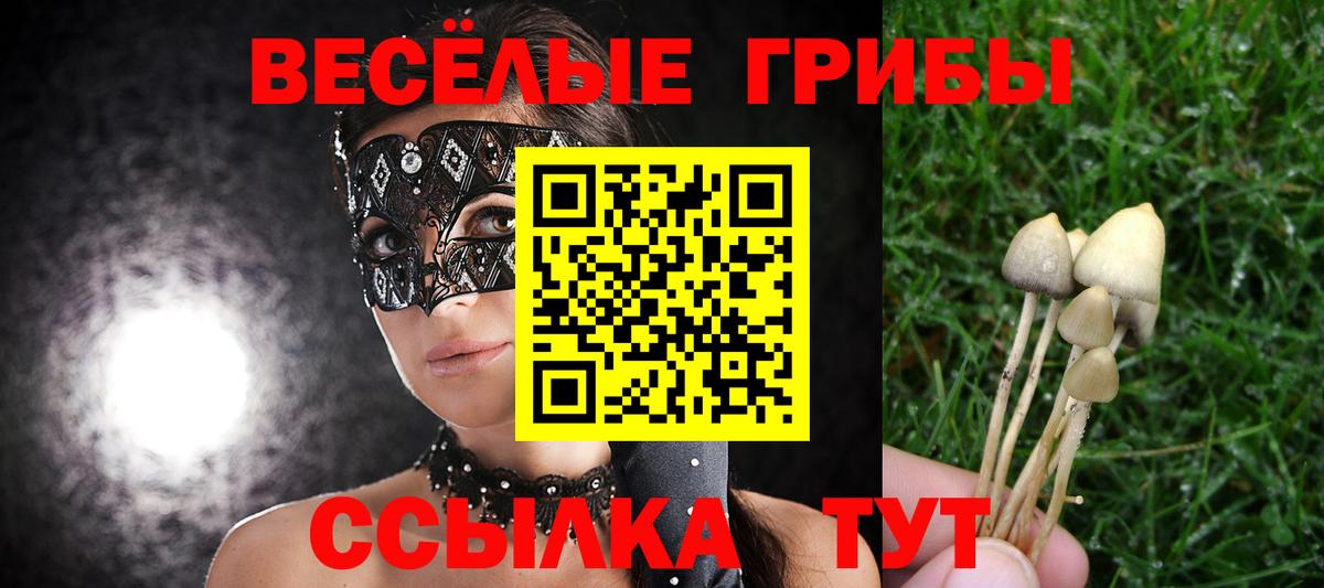 Каннабис Донской
