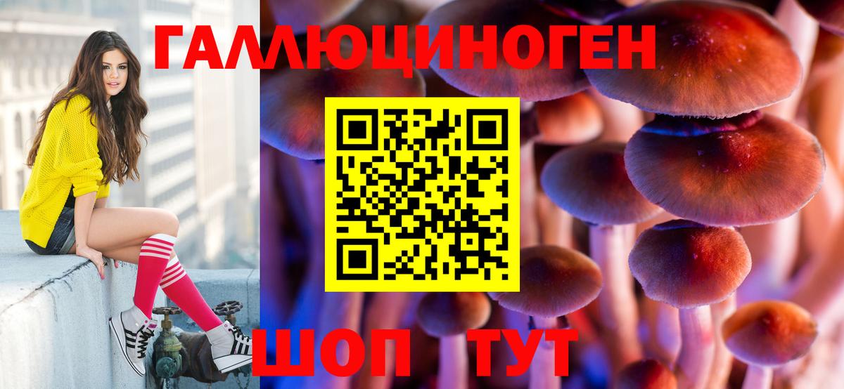 где купить наркоту  Псилоцибиновые грибы MAGIC MUSHROOMS  Вход с VPN  Донской 