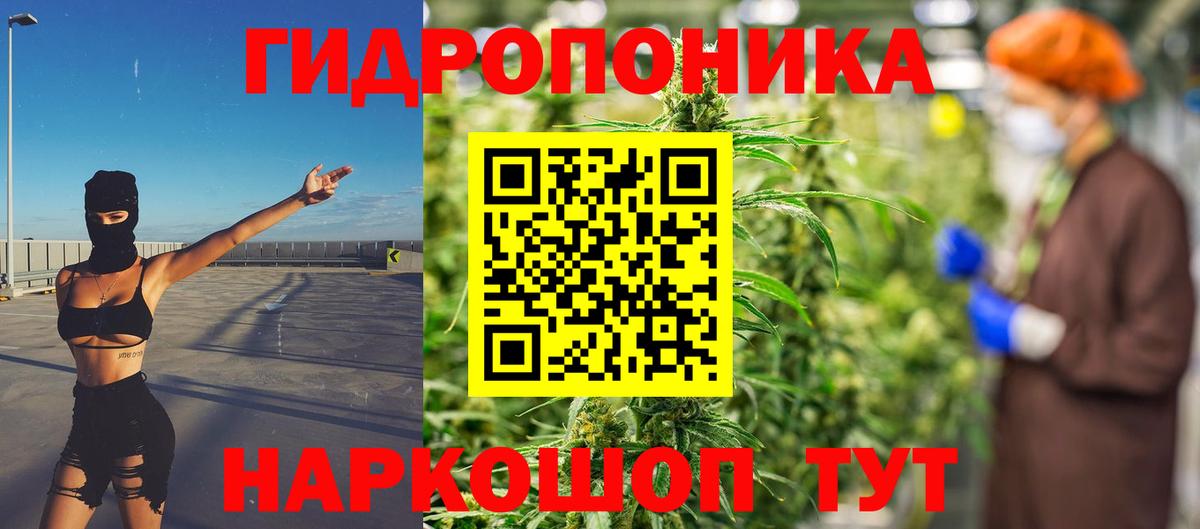 Конопля гибрид Донской